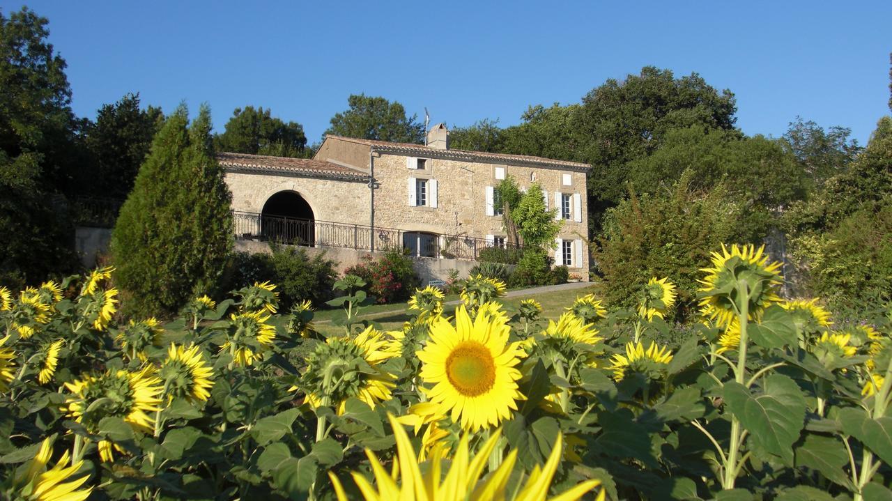 Chambres D'Hotes Domaine De La Capelle Saint-Martin-Lalande Экстерьер фото